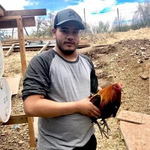 Meet your Posher, Mario